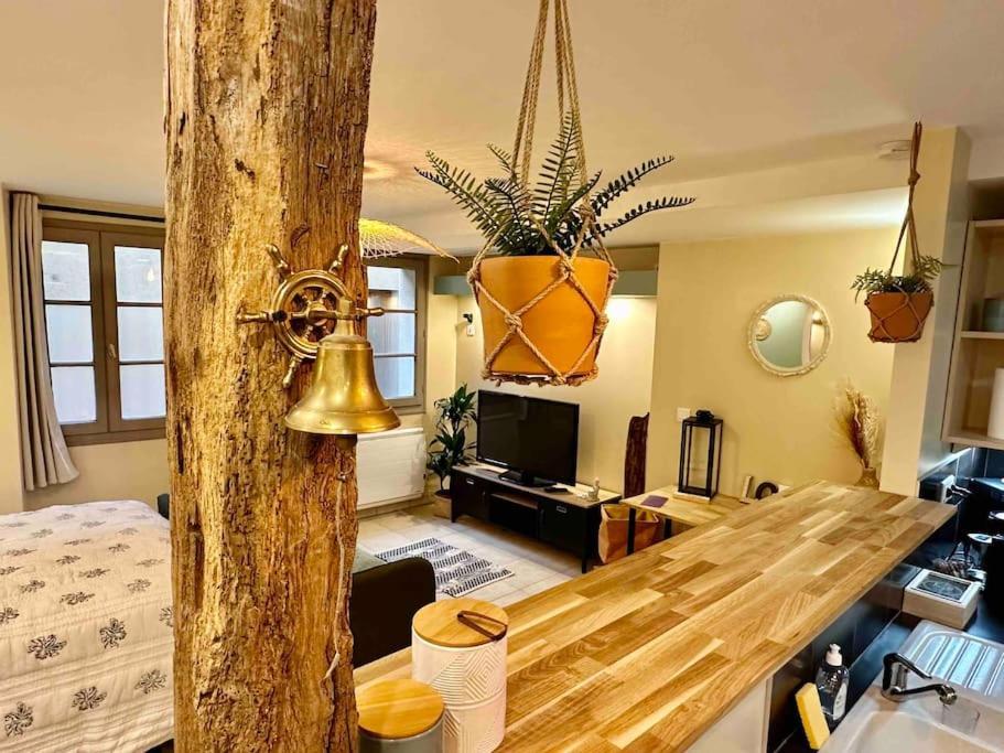 Superbe Studio Centre Лимож Экстерьер фото